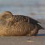 thumbs/IMG_4608.jpg